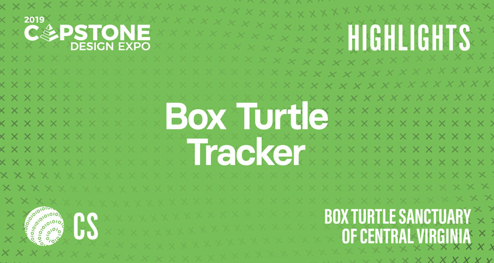 Capstone Highlight Box Turtles