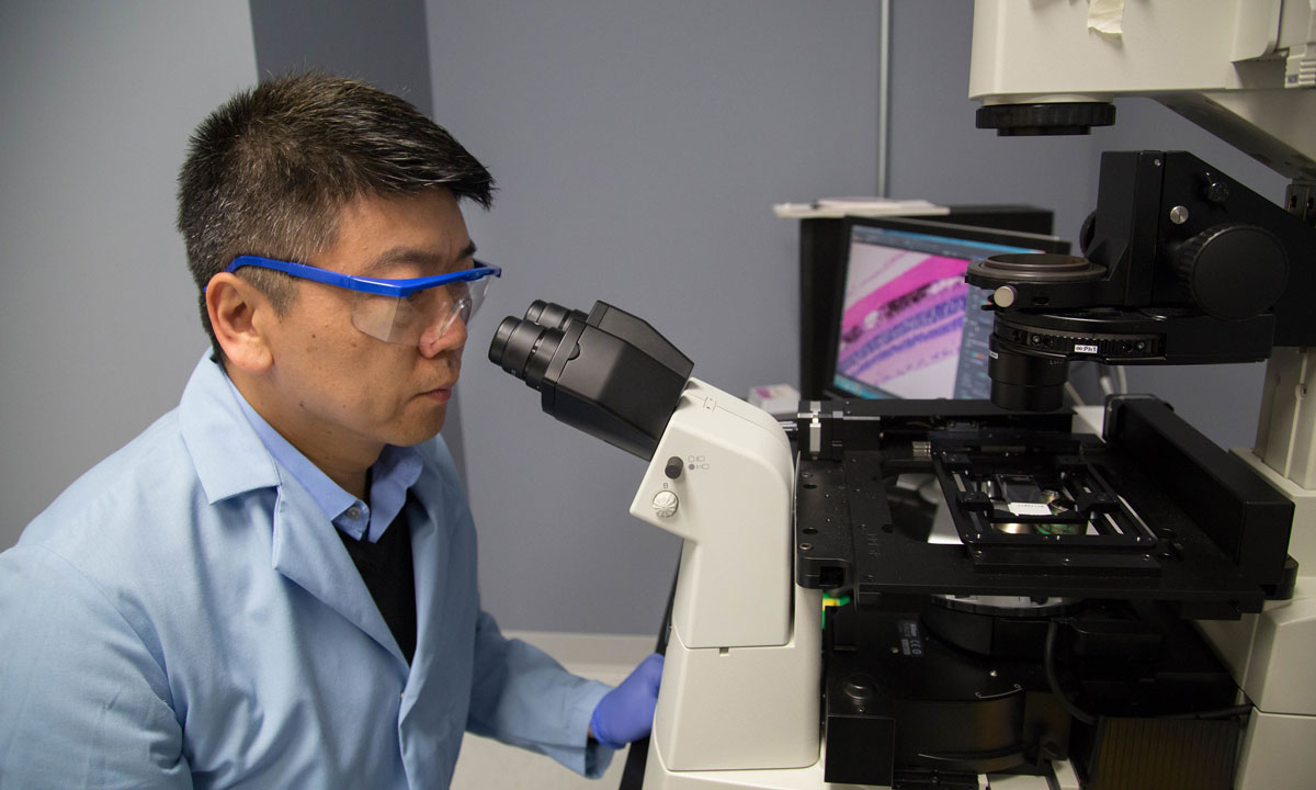 Hu Yang, Ph.D. looking through a microscope