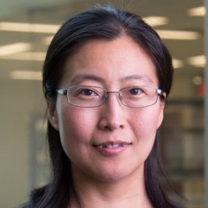 Hong &nbsp;Zhao