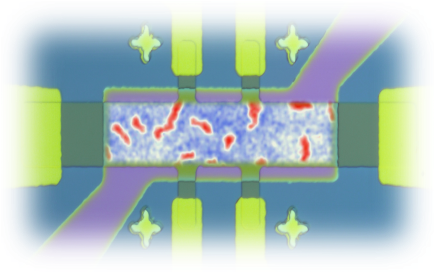 Skyrmions on a fabricated device, as seen through magnetic force microscope imaging