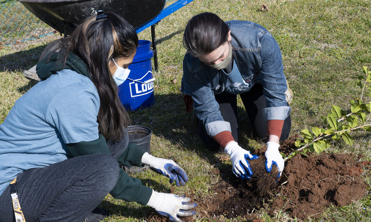 VCU volunteers plant trees at Amelia Street School